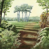 Trees at Hindhead, Surrey – Art Prints