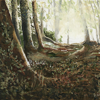 Woods at Abinger Common, Surrey – Art Prints For Sale